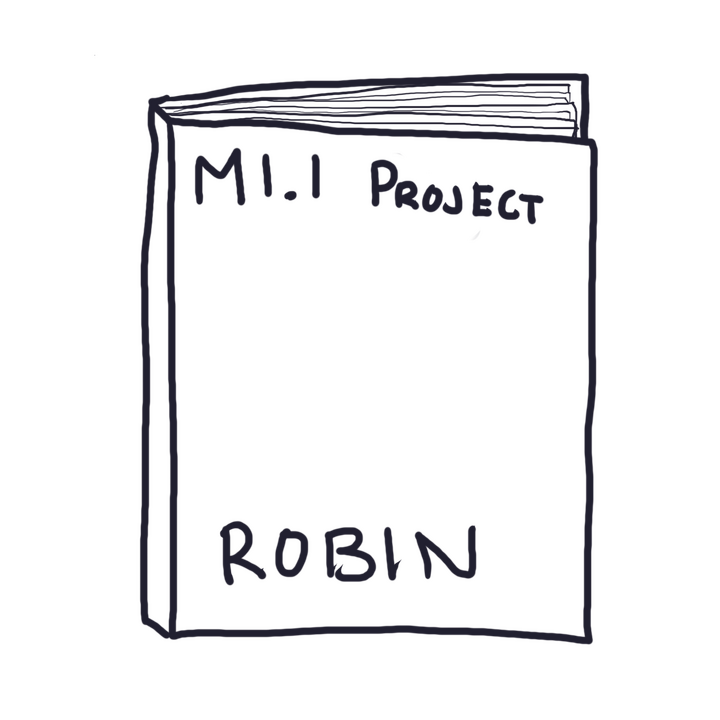 M1.1 Project - Robin